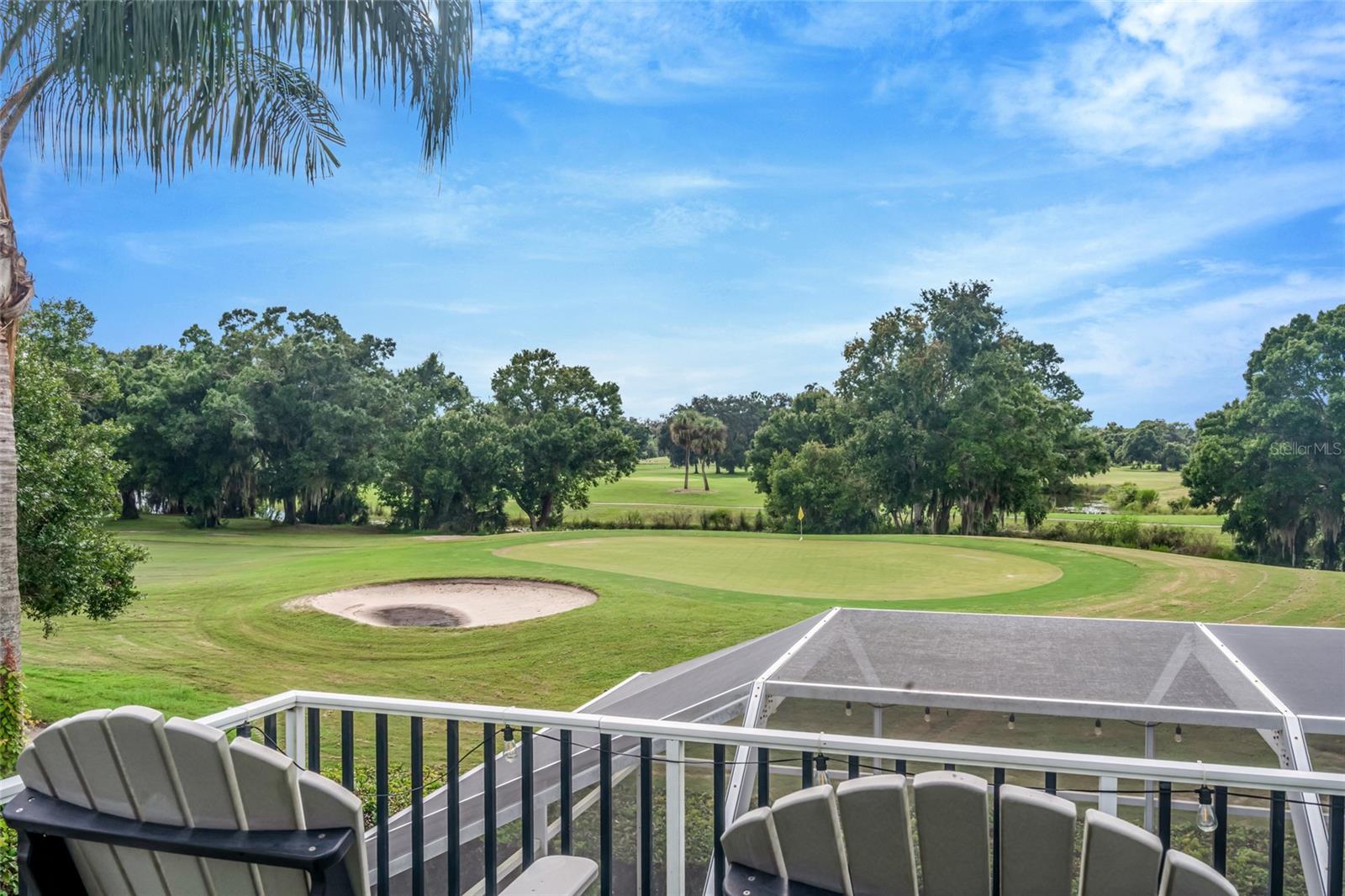 16214 MUIRFIELD DR — photo 70