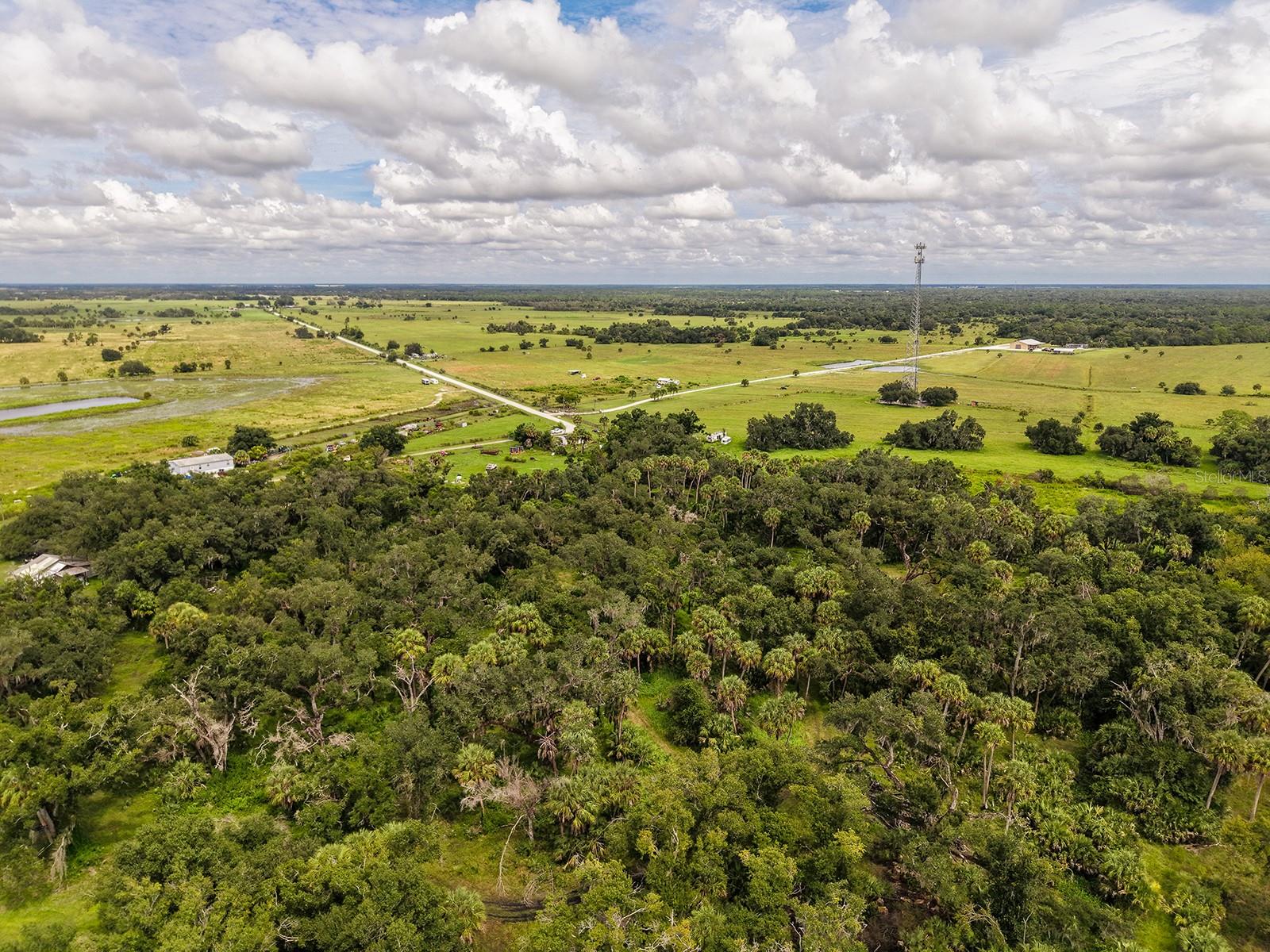 16501 COKER GULLY RD — photo 8