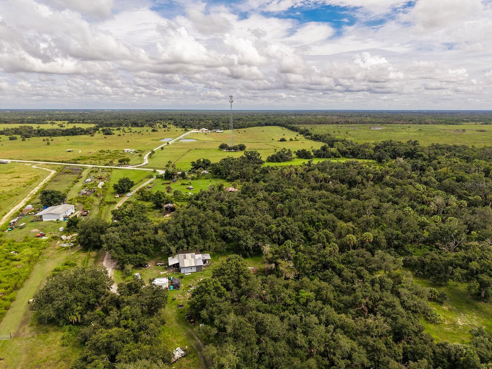16445 COKER GULLY RD — photo 4