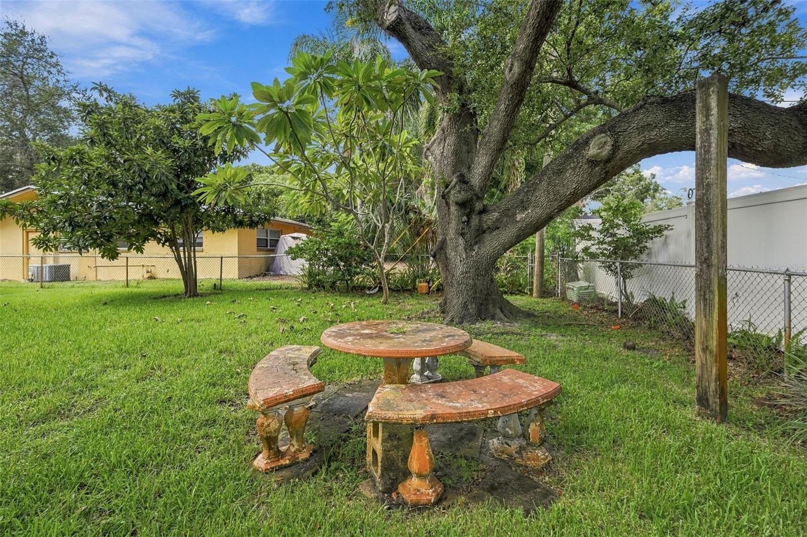 2336 HARN BLVD — photo 38