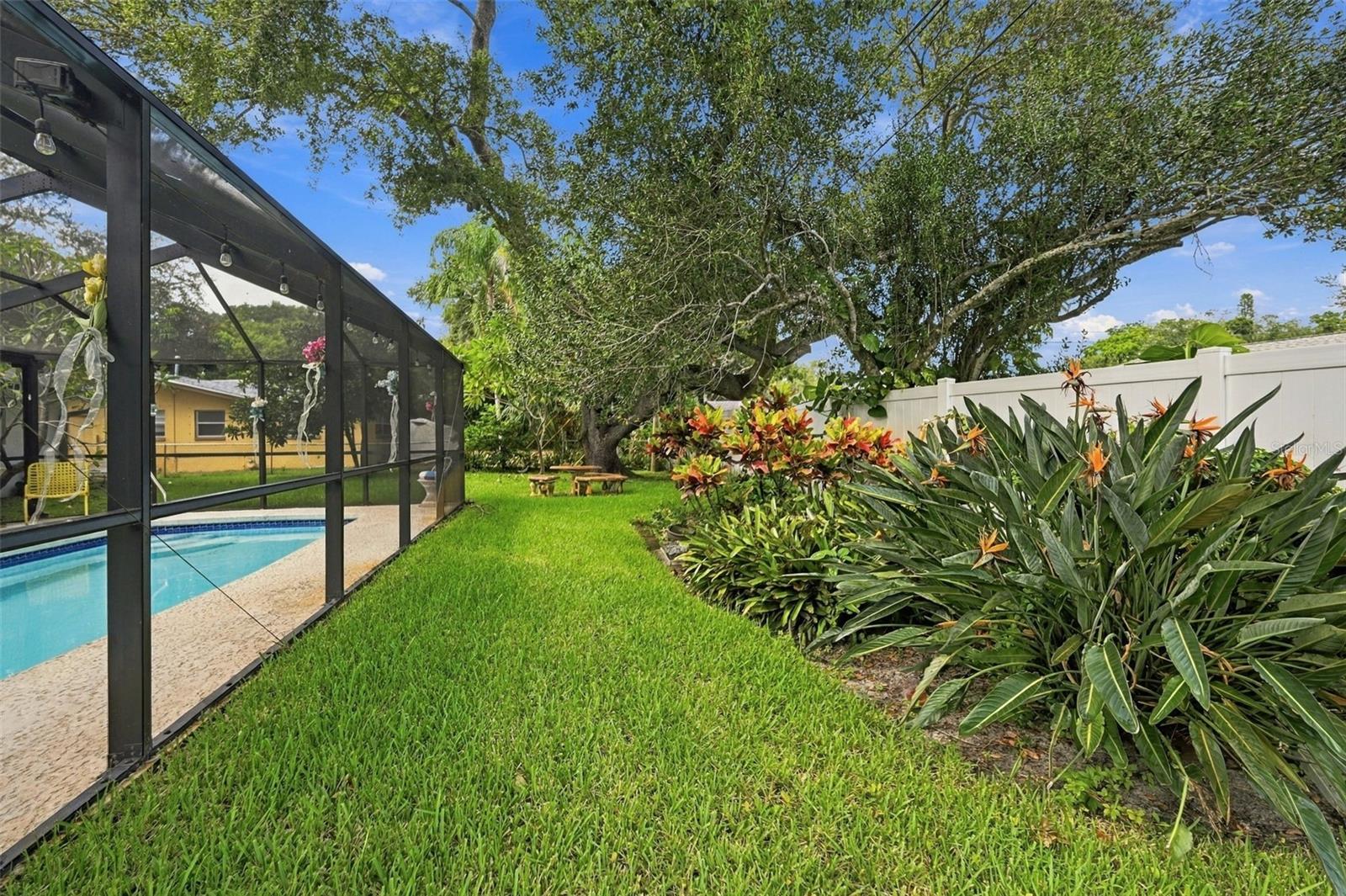 2336 HARN BLVD — photo 37
