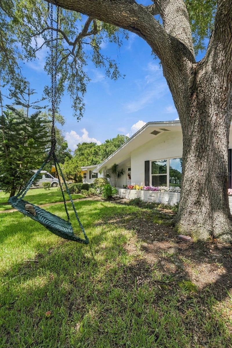 2336 HARN BLVD — photo 43