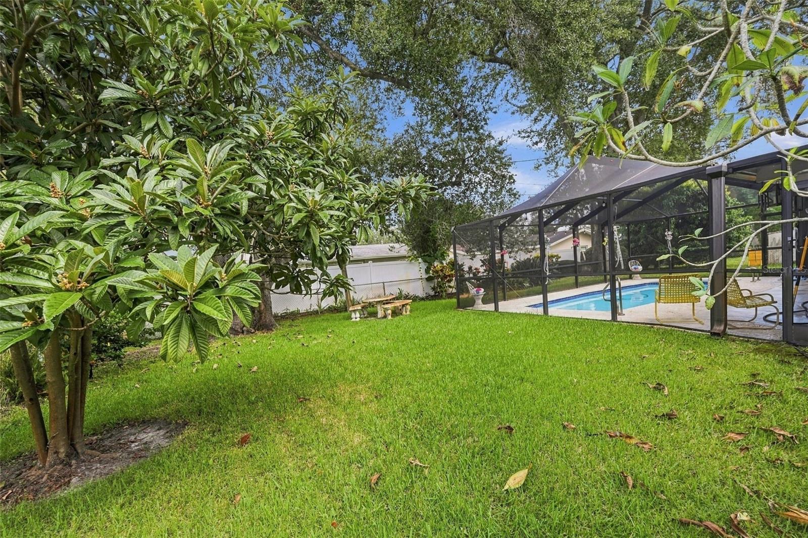 2336 HARN BLVD — photo 40
