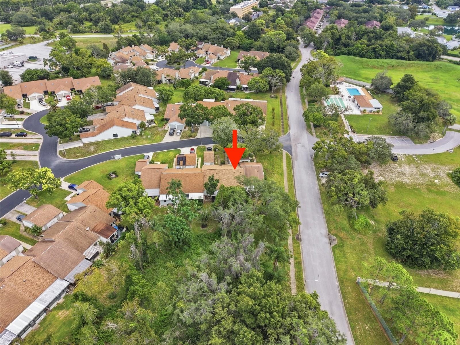 11715 SPRING TREE LN — photo 30
