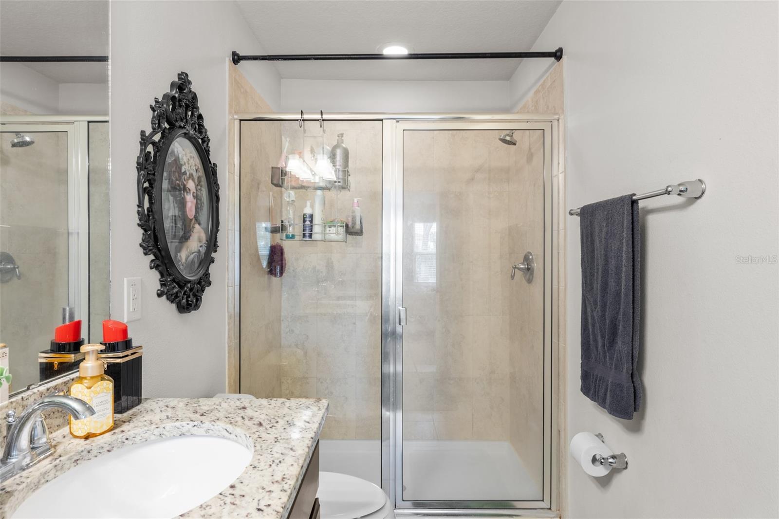 4741 WHITE SANDERLING CT — photo 38