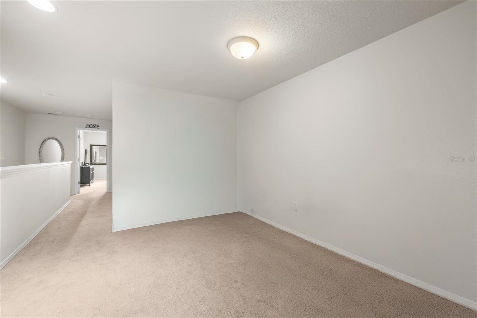 4741 WHITE SANDERLING CT — photo 23