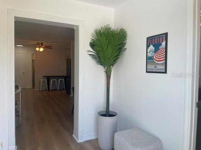 2229 MONTCLAIR DR — photo 4
