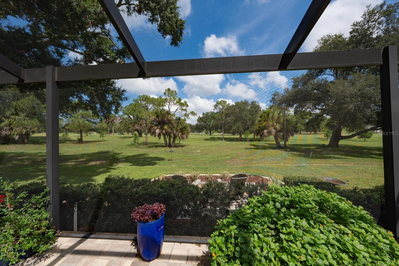 1232 SAINT ANDREWS DR — photo 37
