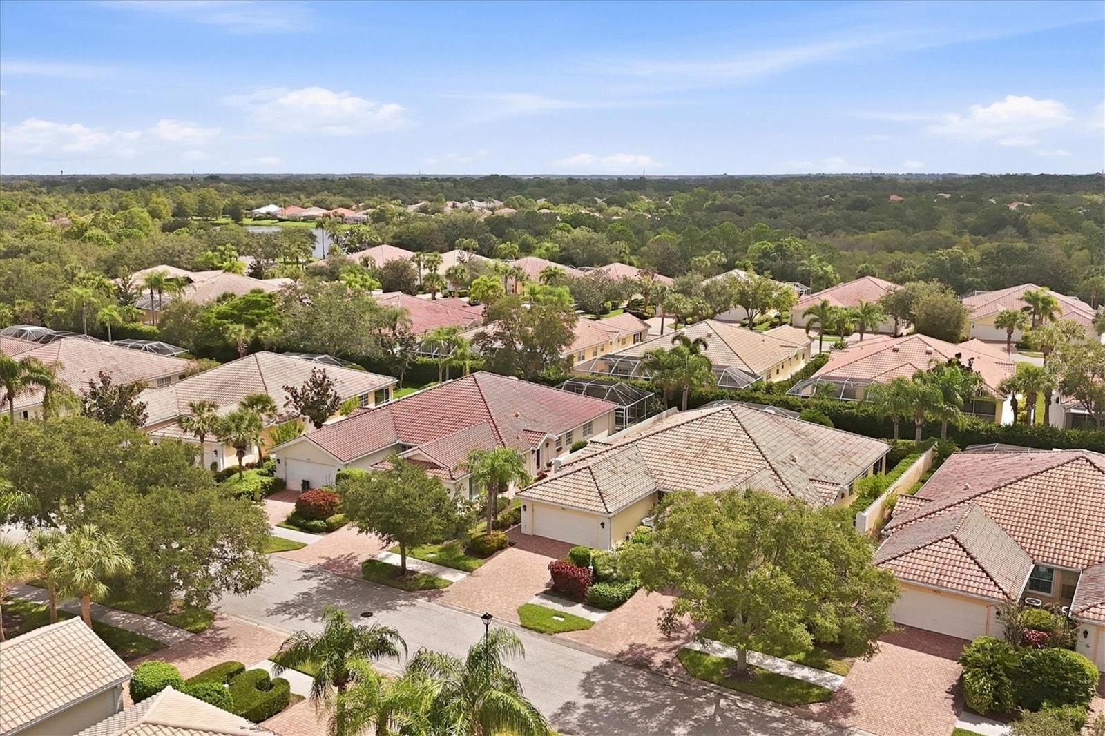 7621 QUINTO DR — photo 4
