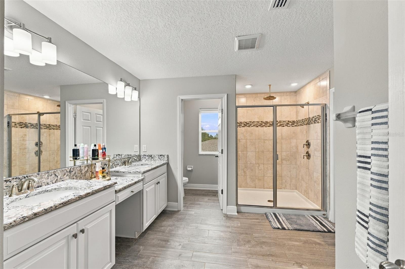 31584 COLADA DRIFT WAY — photo 31