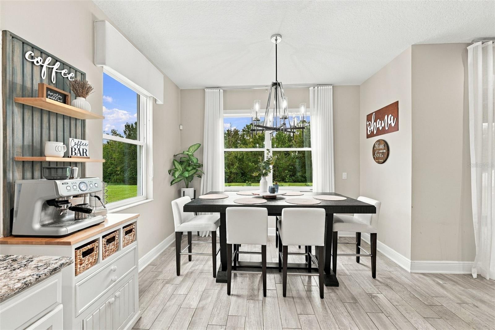 31584 COLADA DRIFT WAY — photo 3