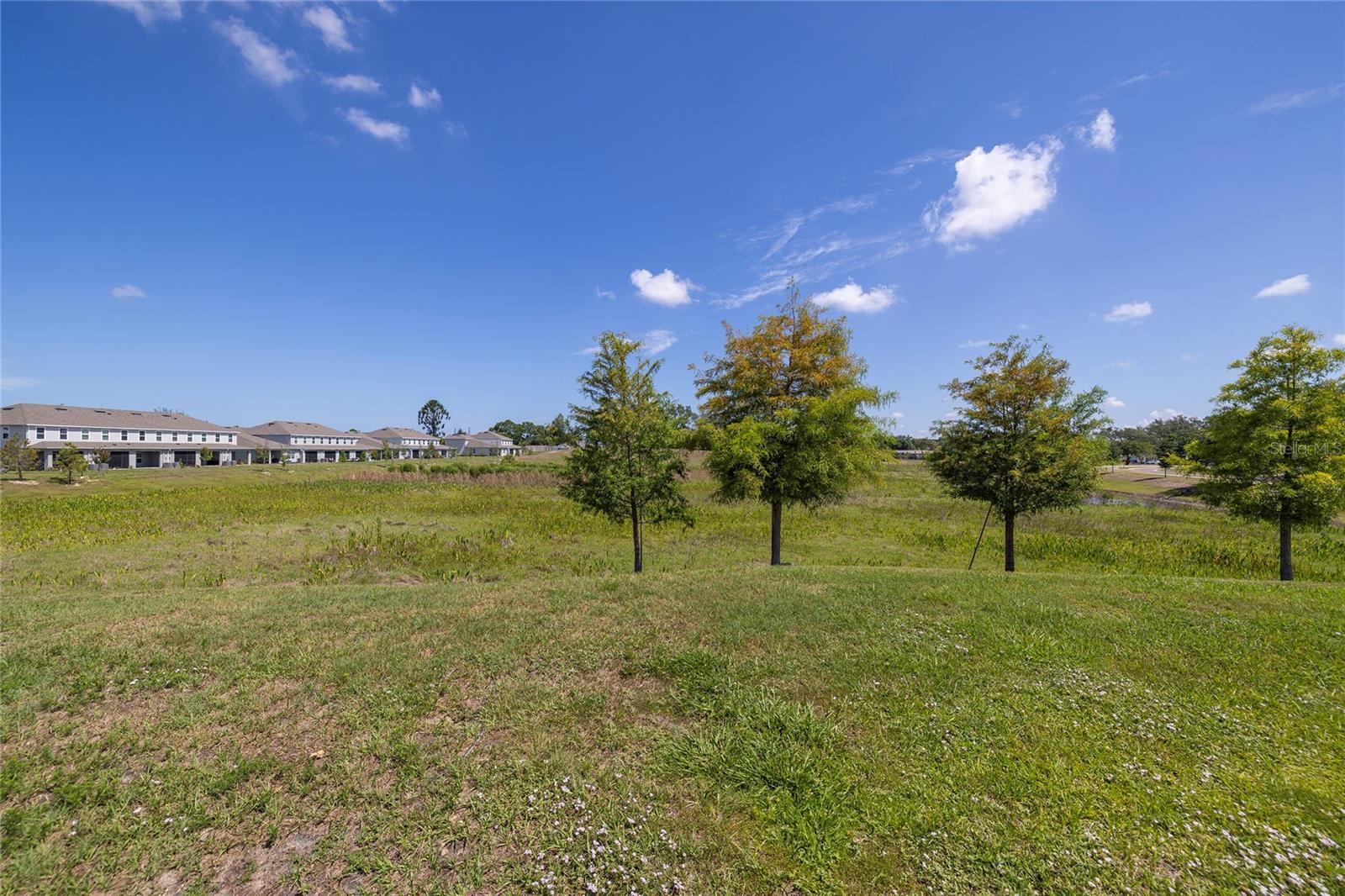 4298 HARBOUR PALM DR — photo 38