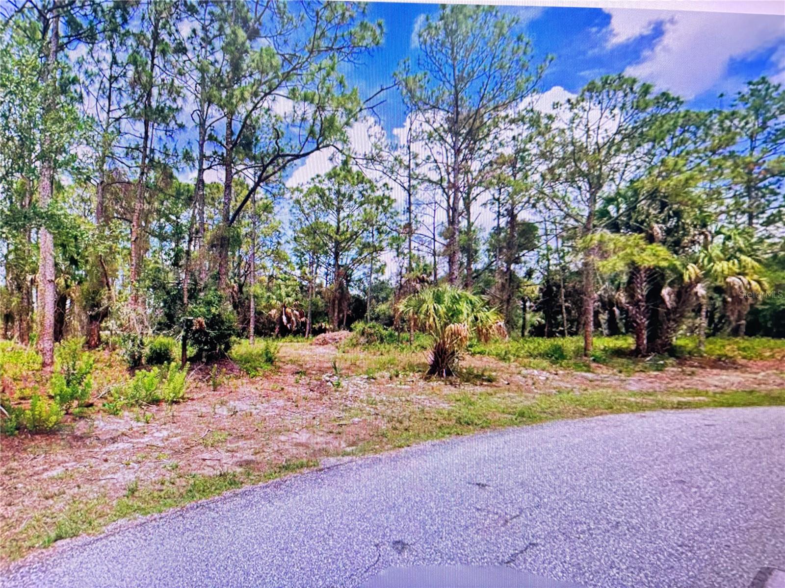 TASCO LOTS 2,3, & 4 DR — photo 3