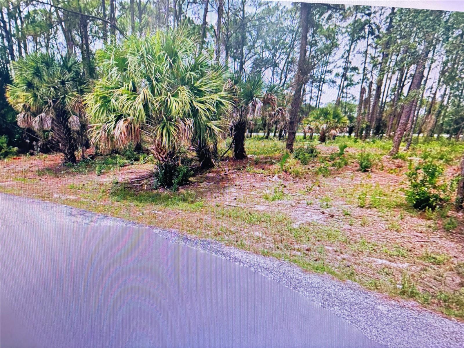 TASCO LOTS 2,3, & 4 DR — photo 4