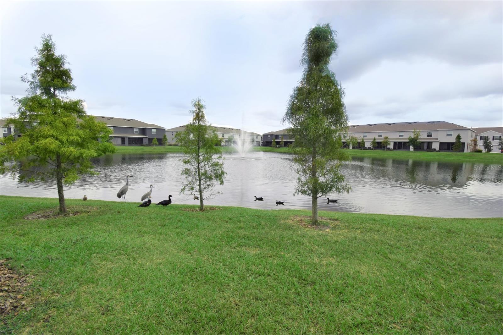 8644 FALLING BLUE PL — photo 22