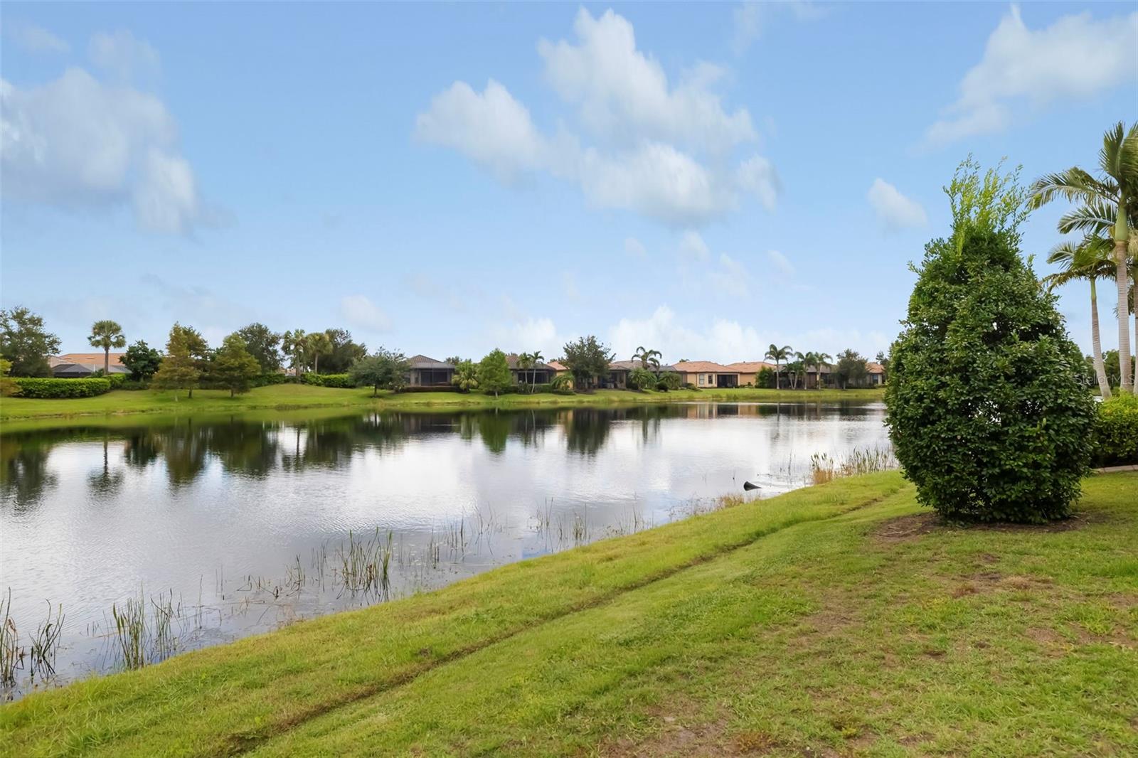 5231 CASTELLO LN — photo 47