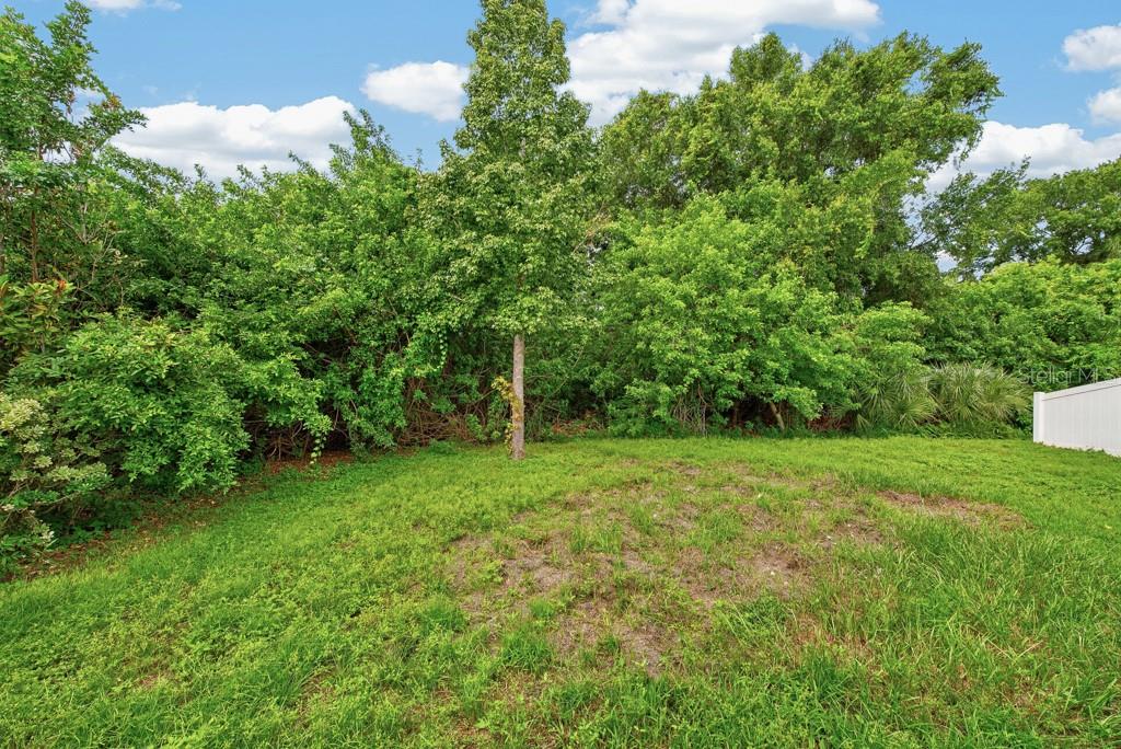 11601 TANGLE STONE DR — photo 39