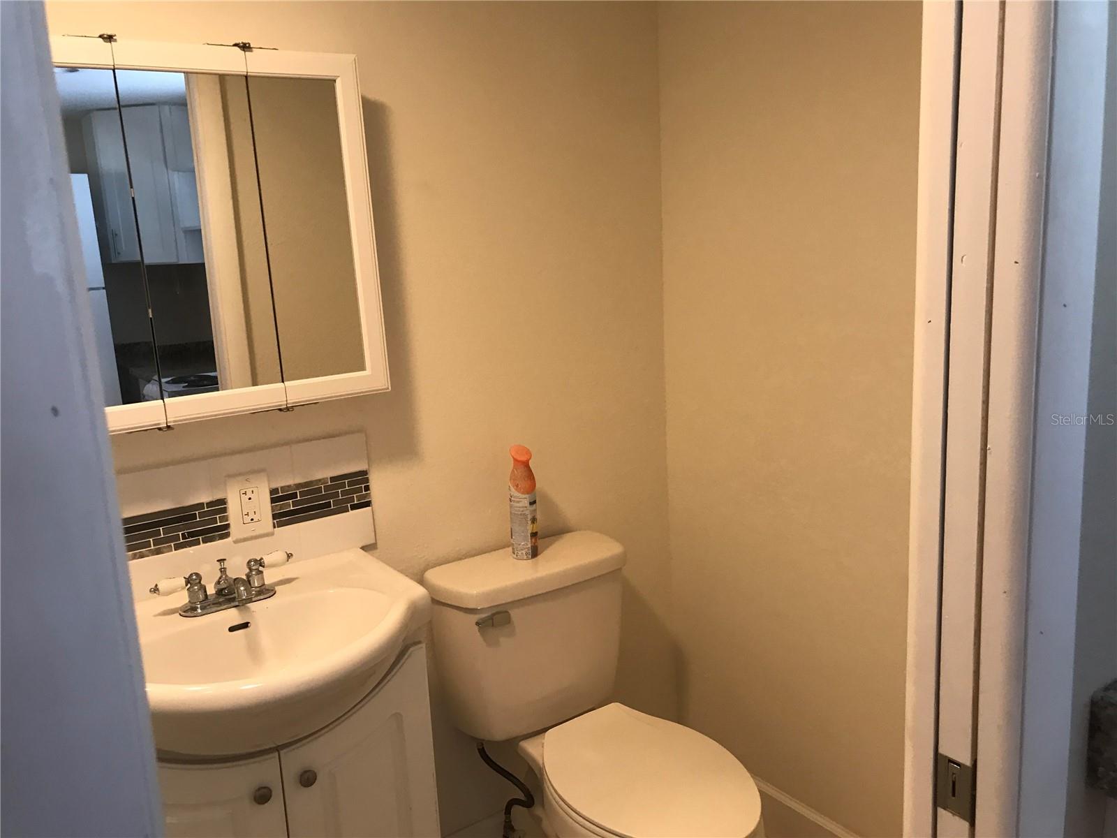 4107 ALAFIA BLVD — photo 5