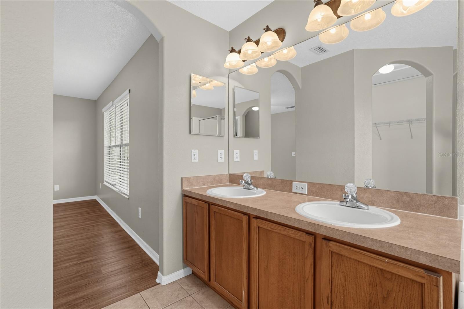 16234 BRIDGEWALK DR — photo 16