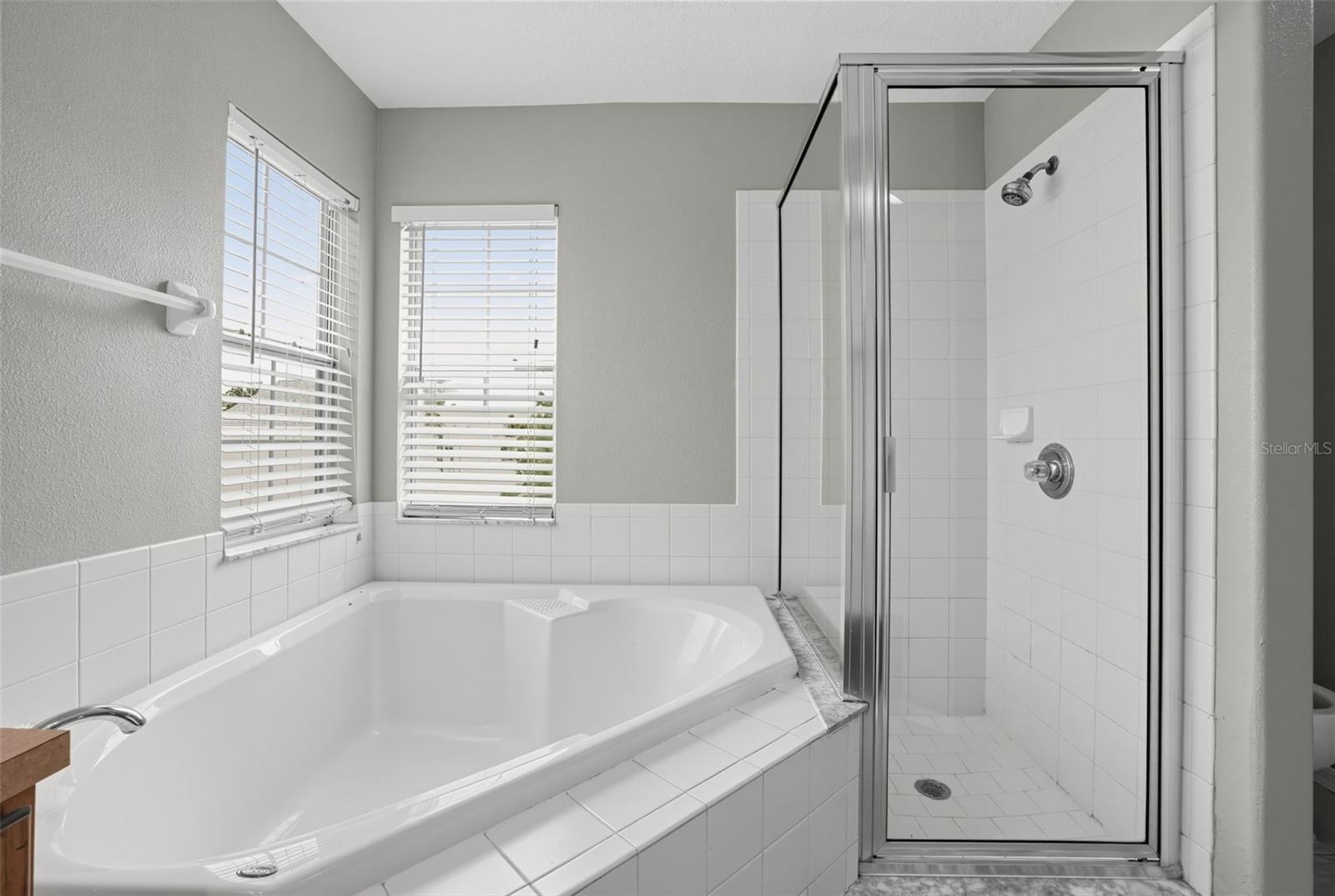16234 BRIDGEWALK DR — photo 17