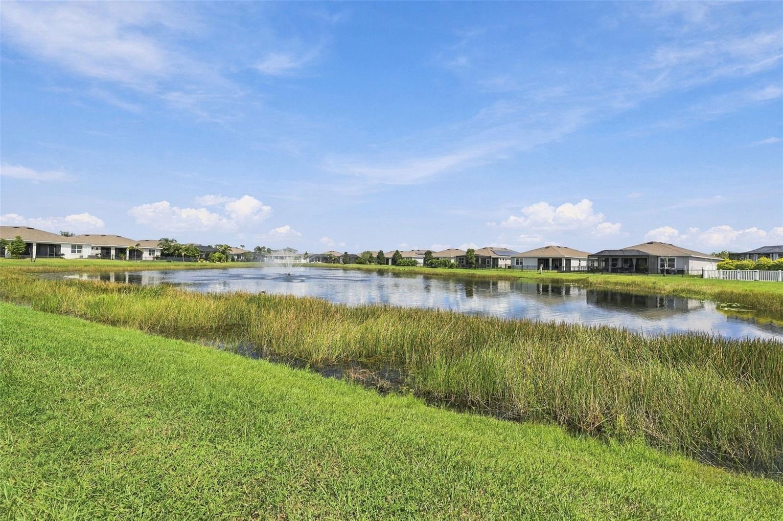 13344 WATERLEAF GARDEN CIR — photo 52