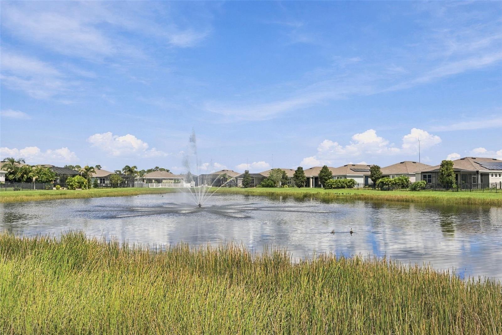 13344 WATERLEAF GARDEN CIR — photo 4
