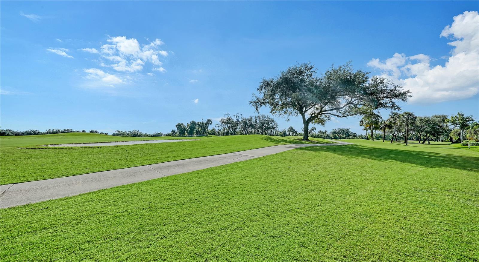 116 VENTANA WAY — photo 47