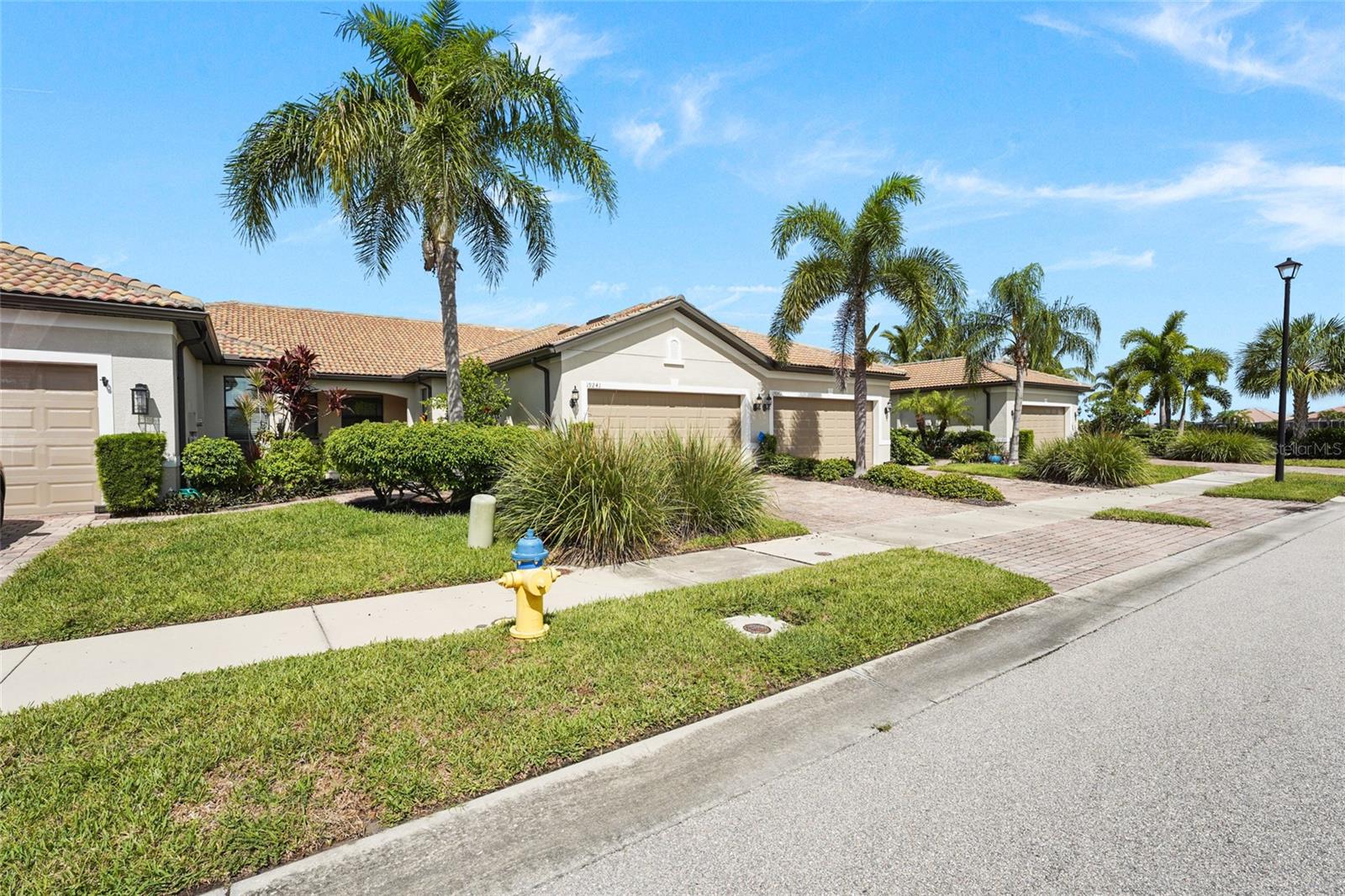19241 SERAFINA ST — photo 19