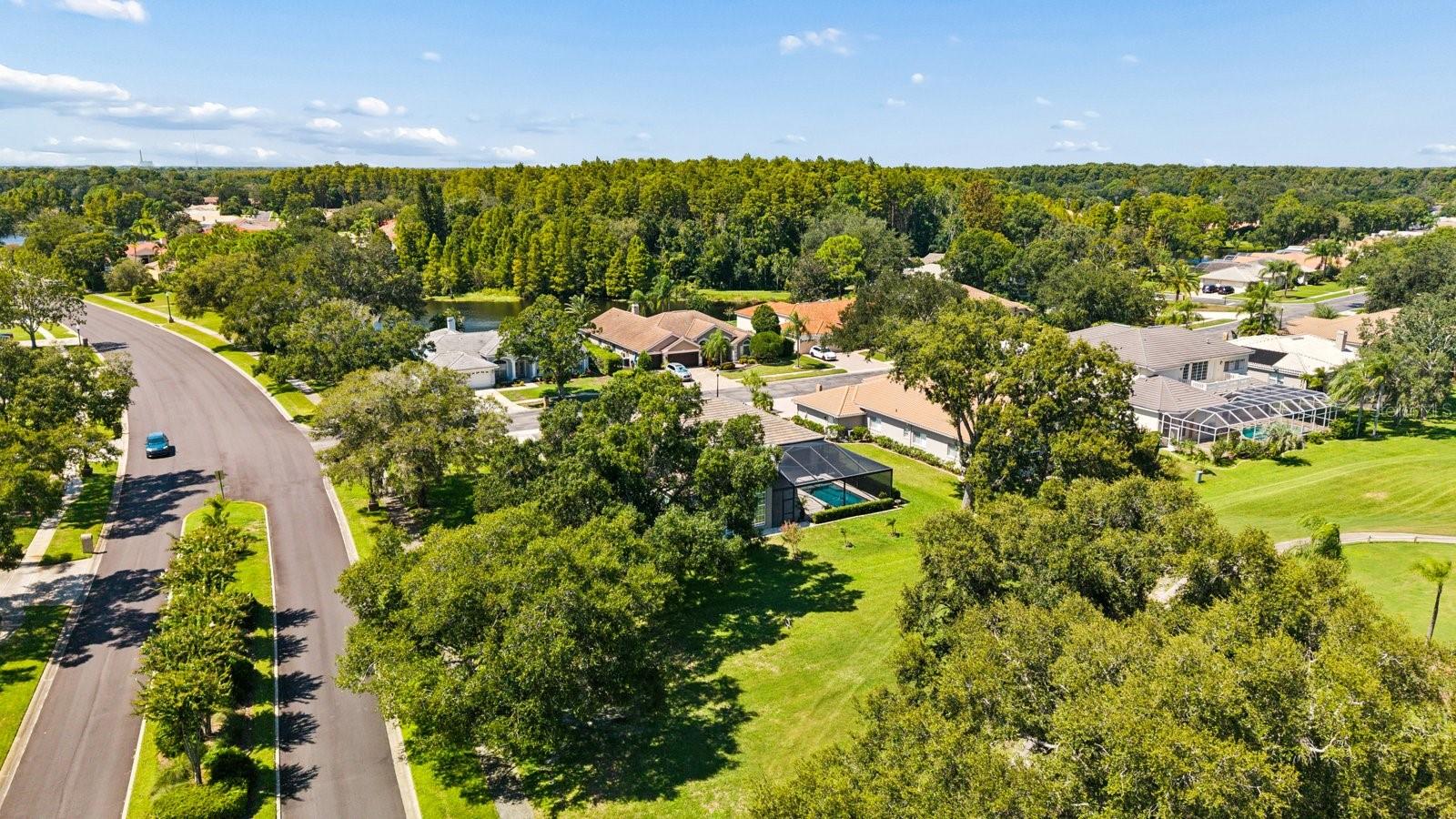 1003 KINGS WAY LN — photo 57