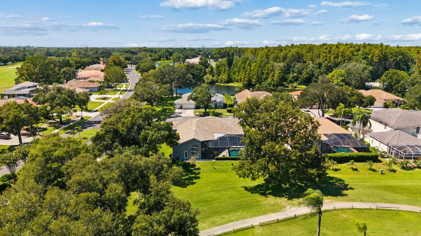 1003 KINGS WAY LN — photo 56