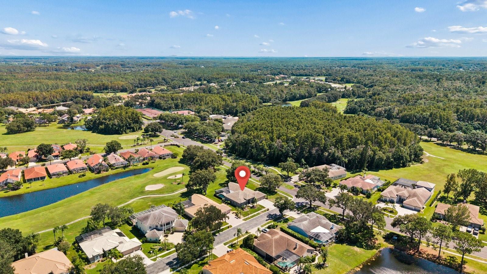 1003 KINGS WAY LN — photo 63