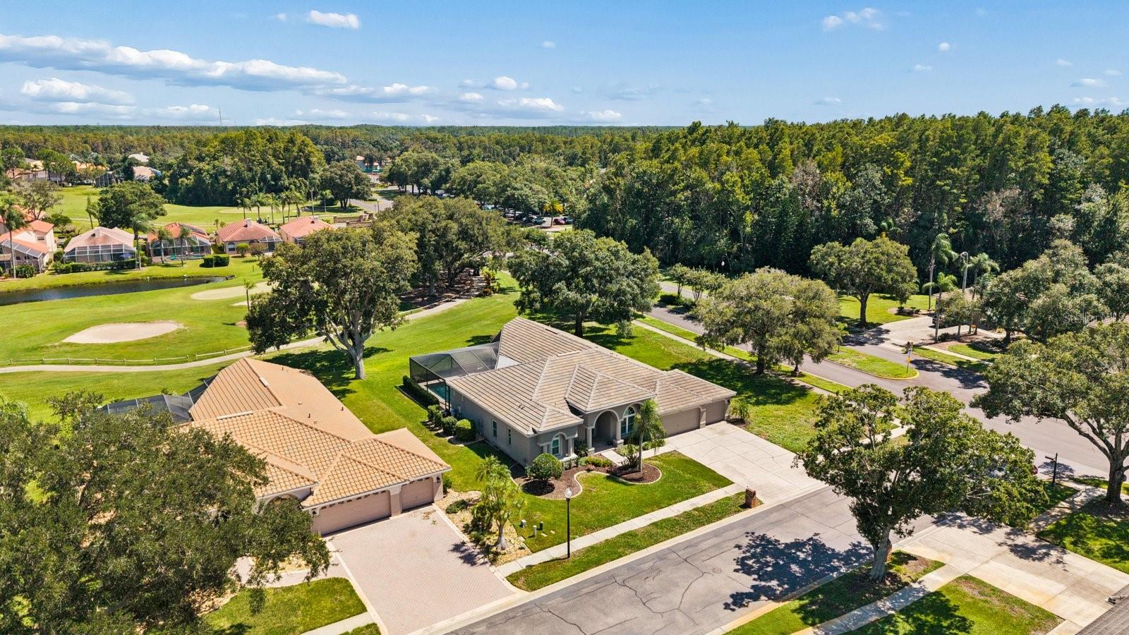 1003 KINGS WAY LN — photo 55
