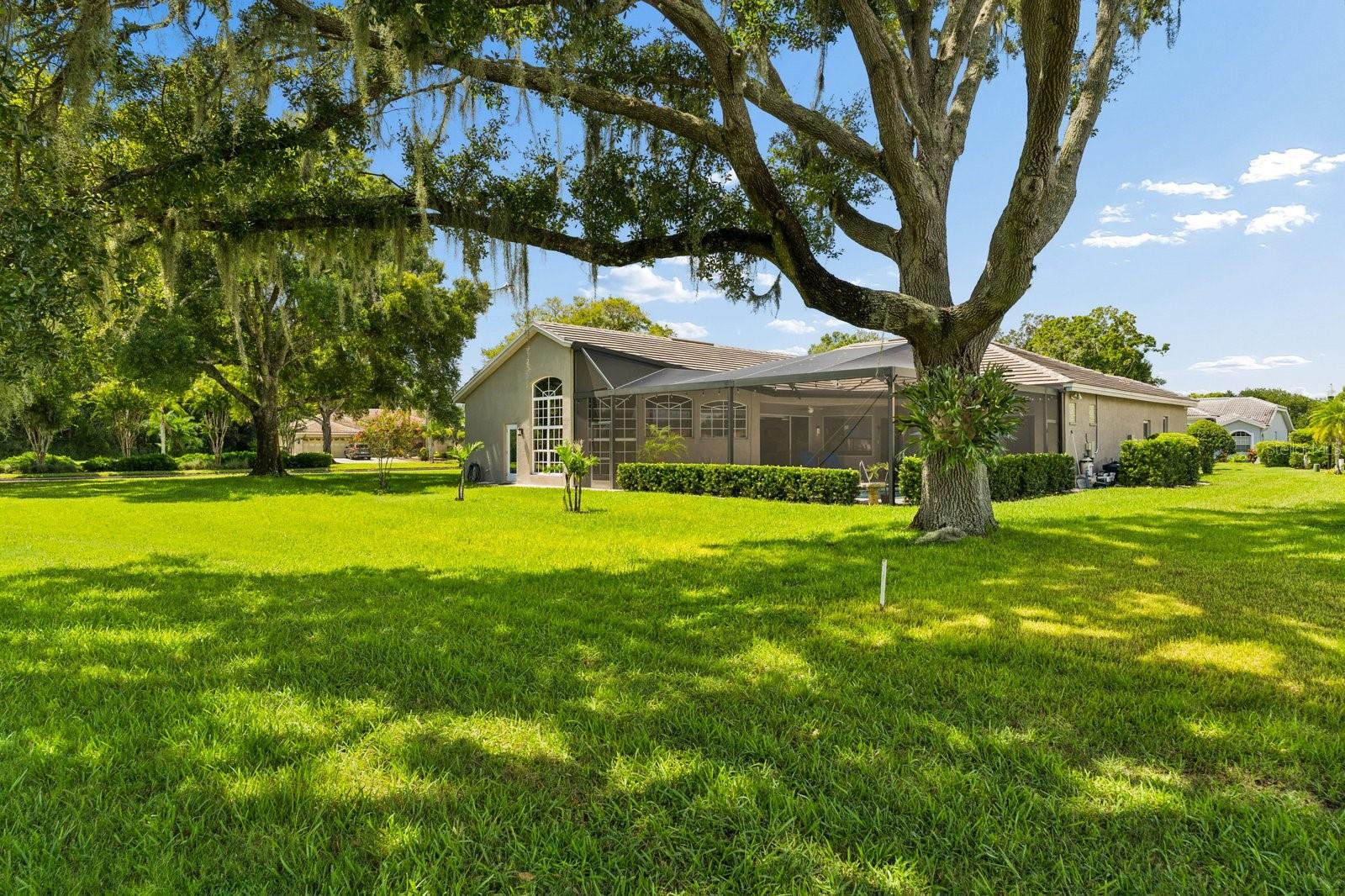 1003 KINGS WAY LN — photo 51