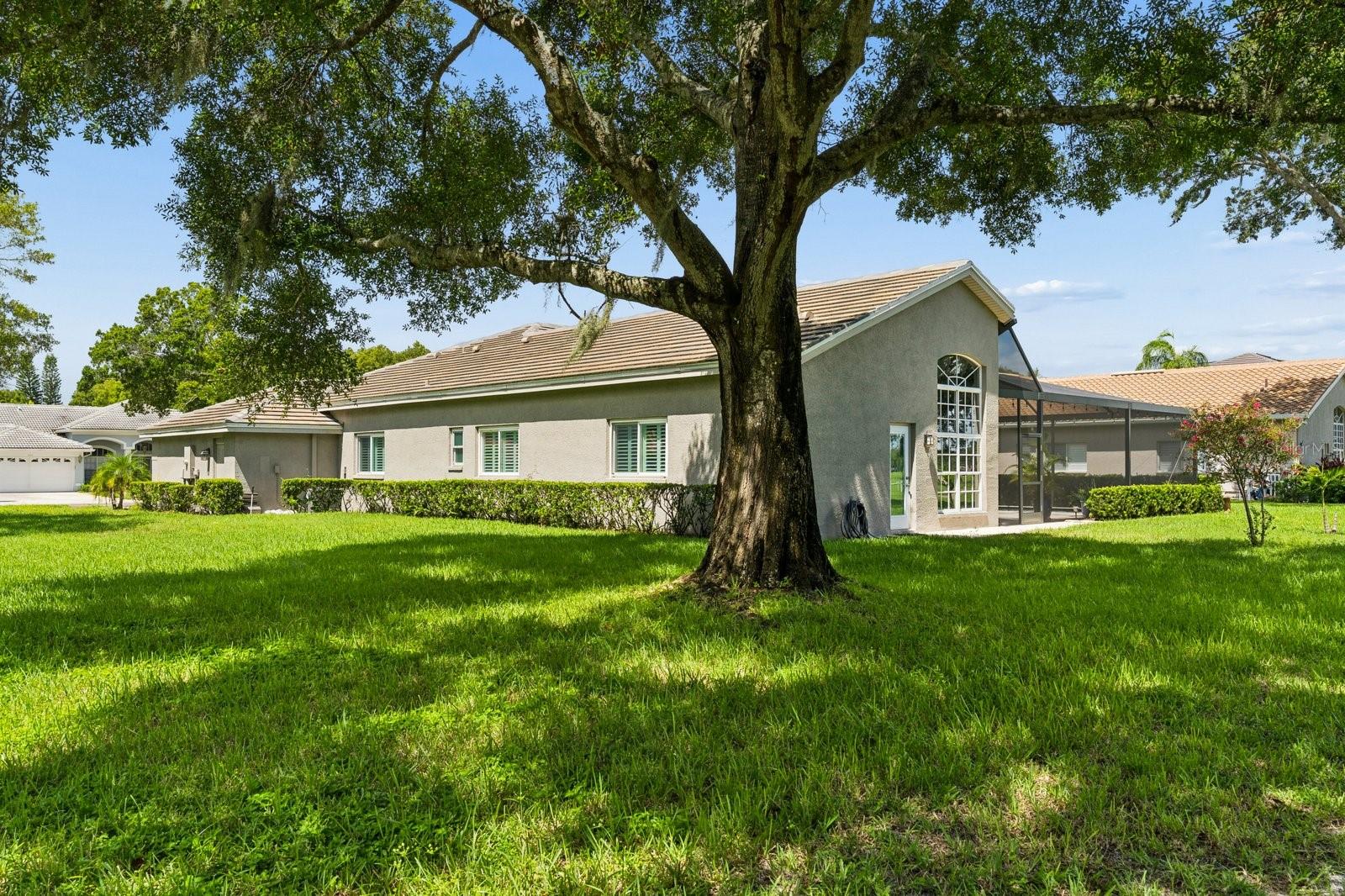 1003 KINGS WAY LN — photo 53