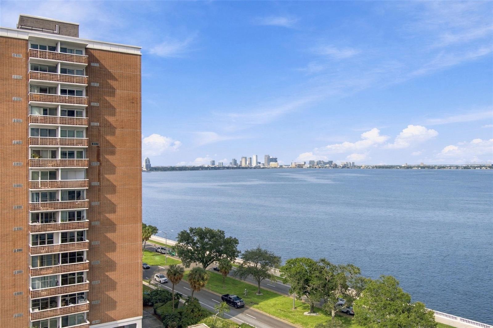 4141 BAYSHORE BLVD #1106 — photo 44