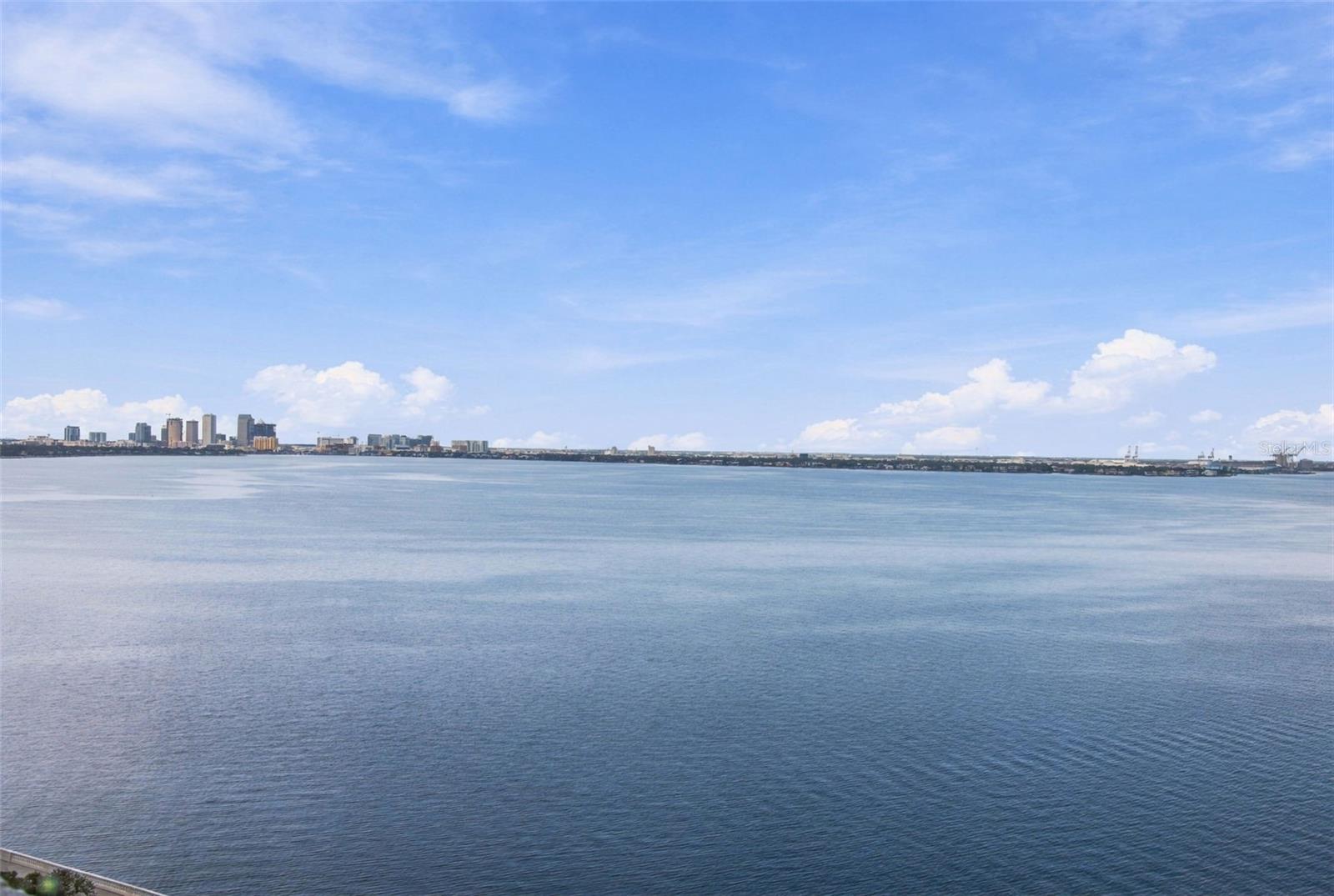 4141 BAYSHORE BLVD #1106 — photo 49