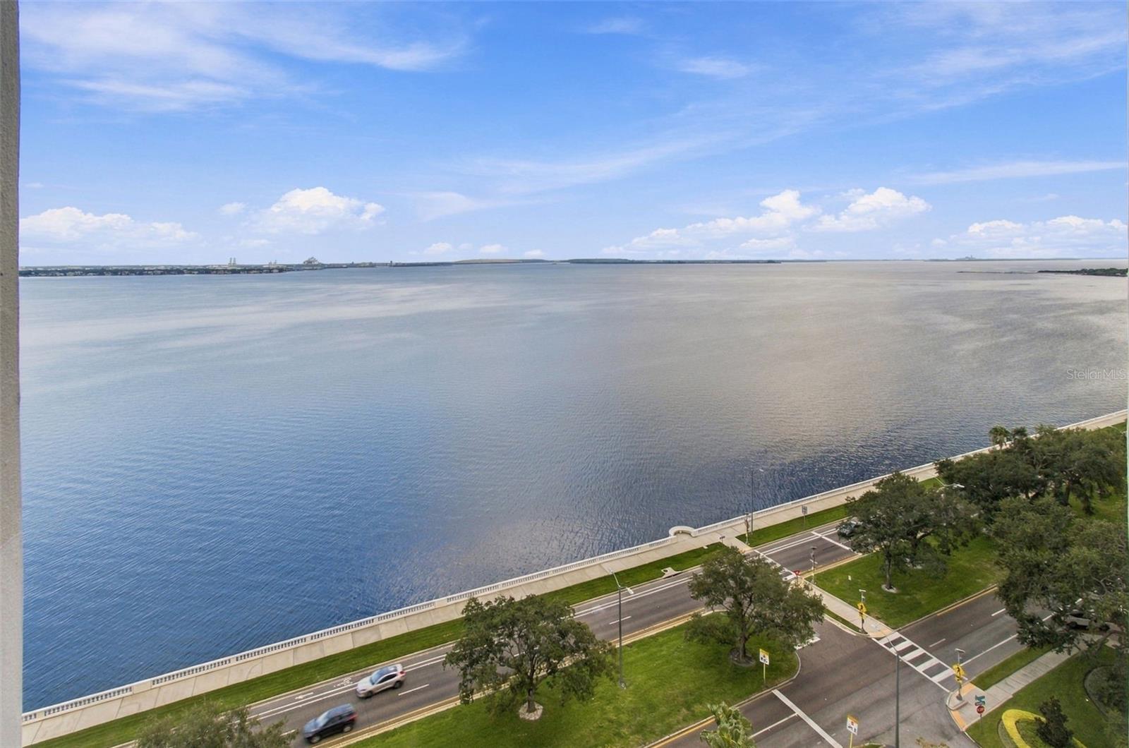 4141 BAYSHORE BLVD #1106 — photo 51