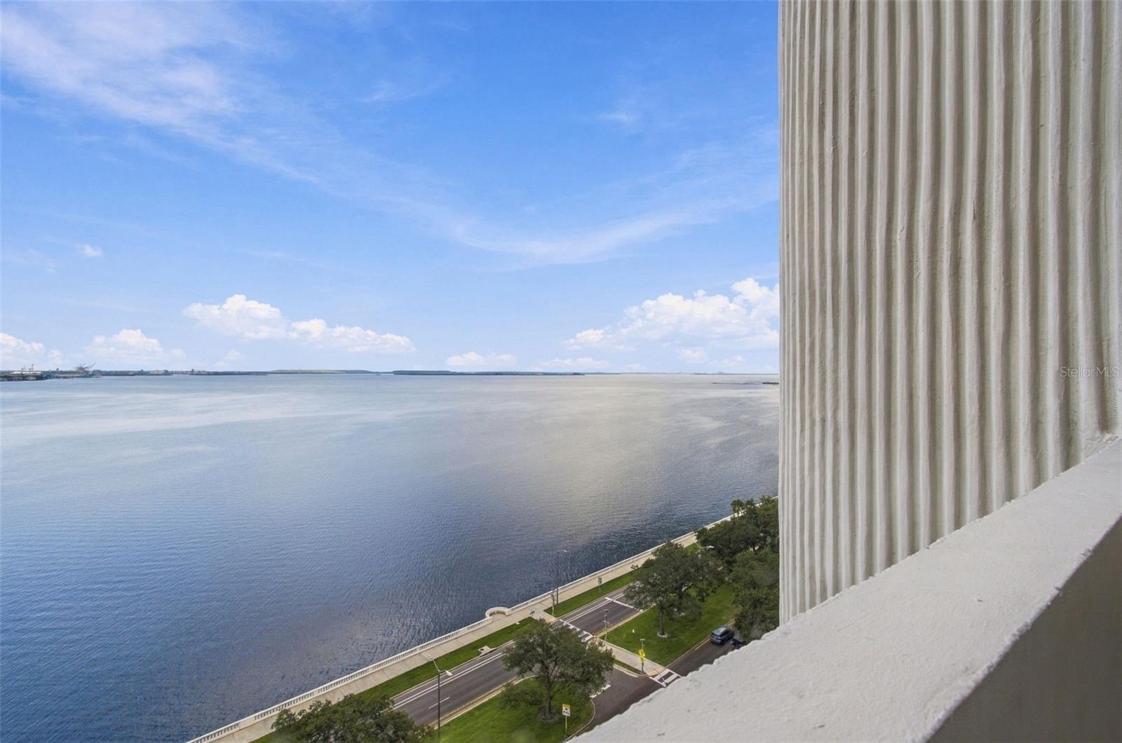 4141 BAYSHORE BLVD #1106 — photo 50