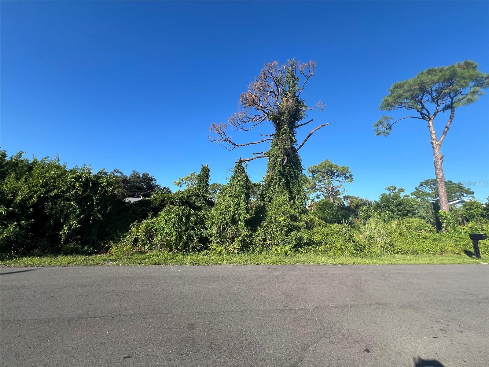 EUCLID RD — photo 18
