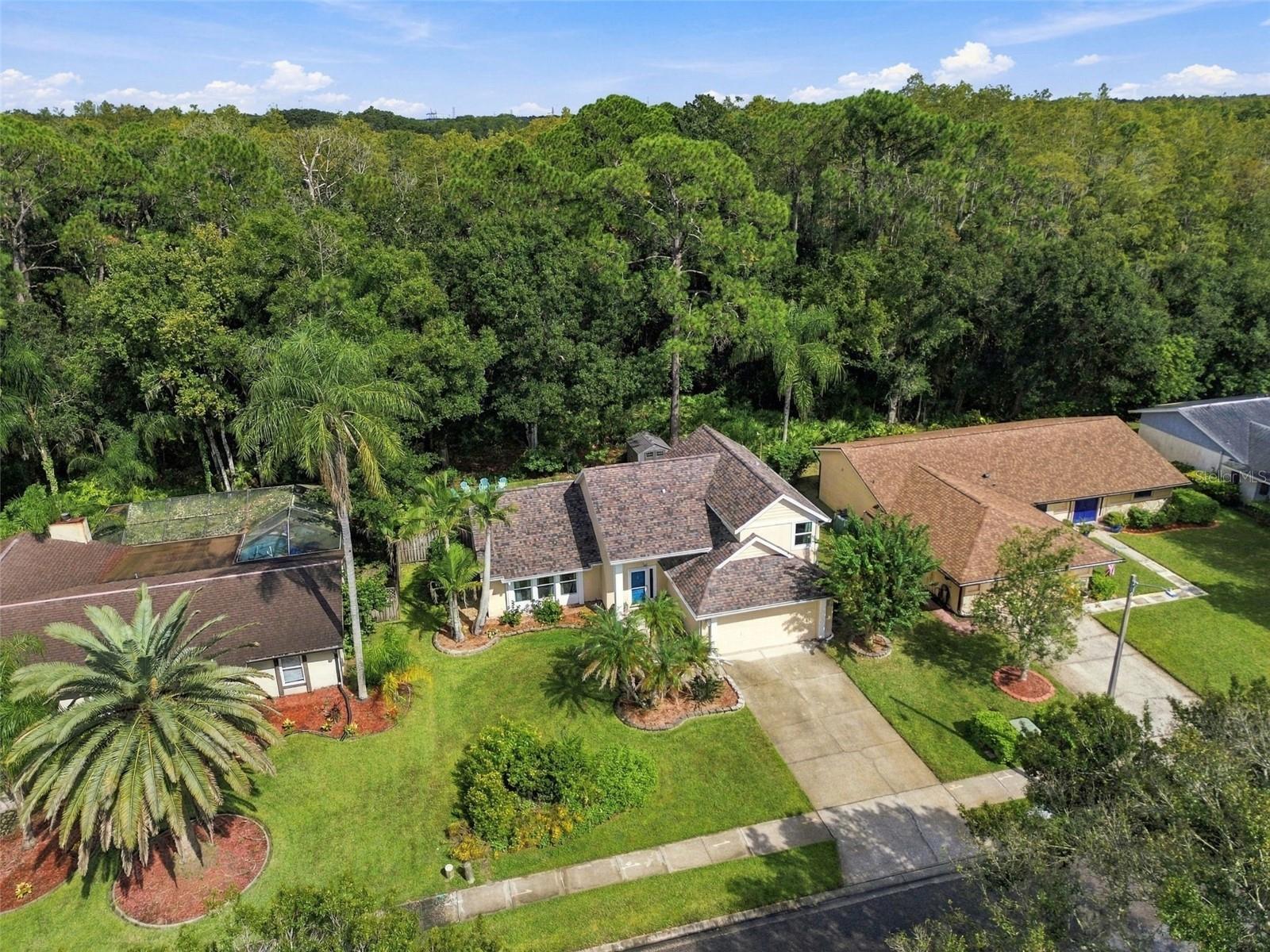 709 JACARANDA DR — photo 85