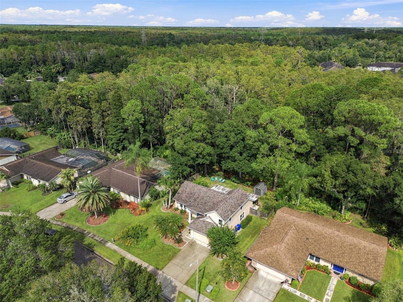 709 JACARANDA DR — photo 89