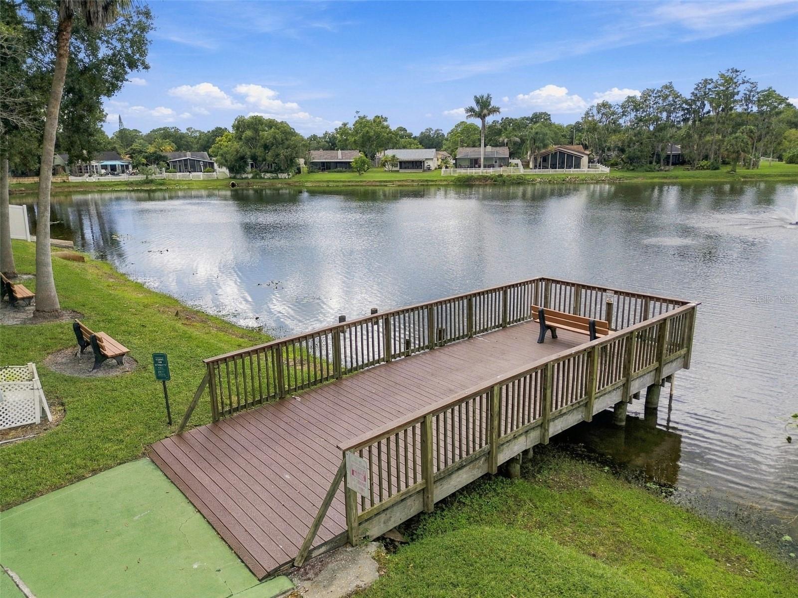 709 JACARANDA DR — photo 67