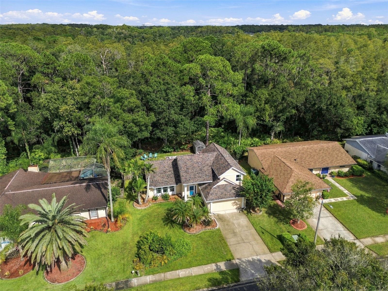 709 JACARANDA DR — photo 84