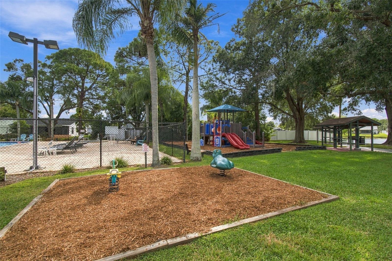 709 JACARANDA DR — photo 75