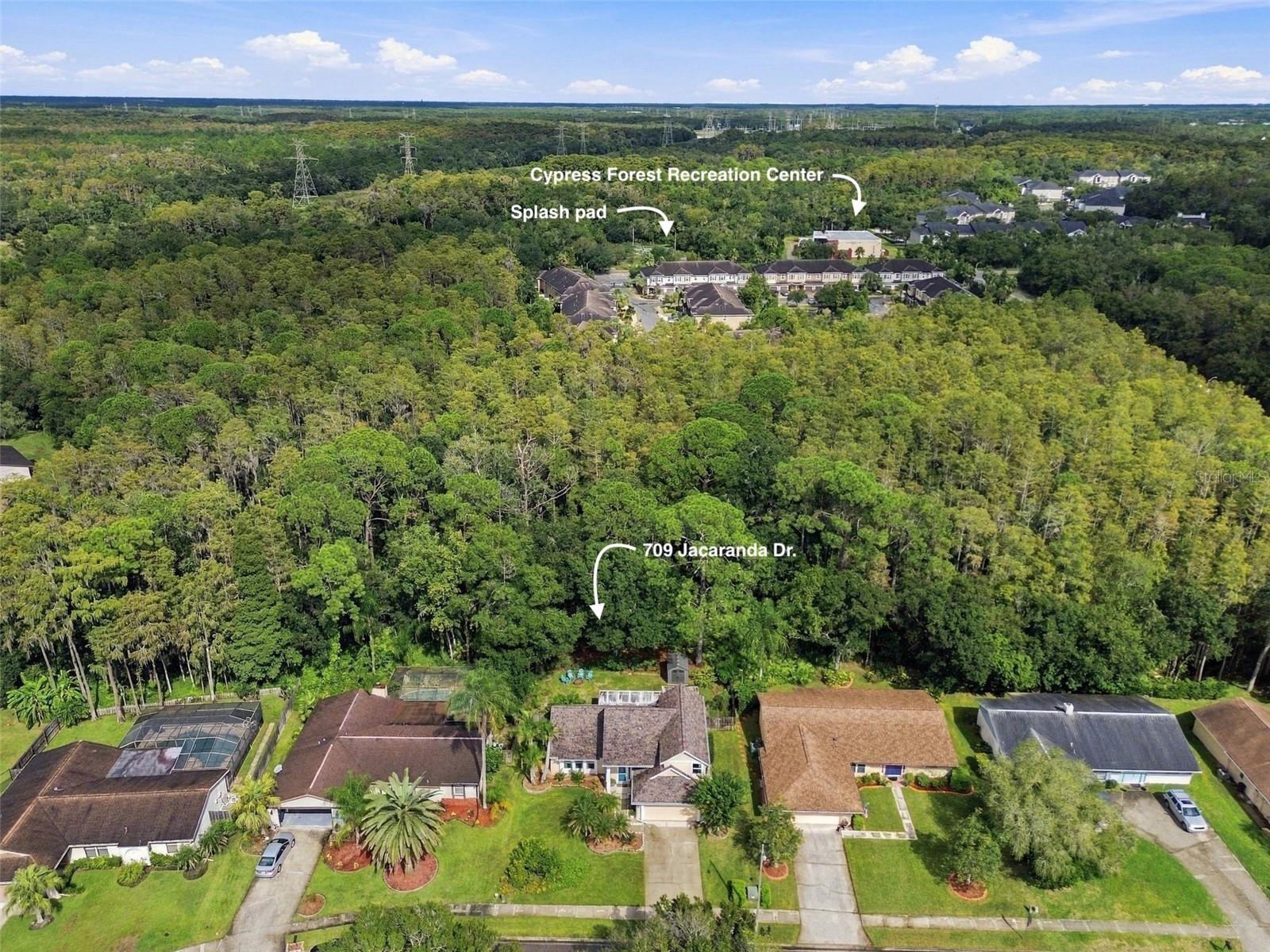 709 JACARANDA DR — photo 79