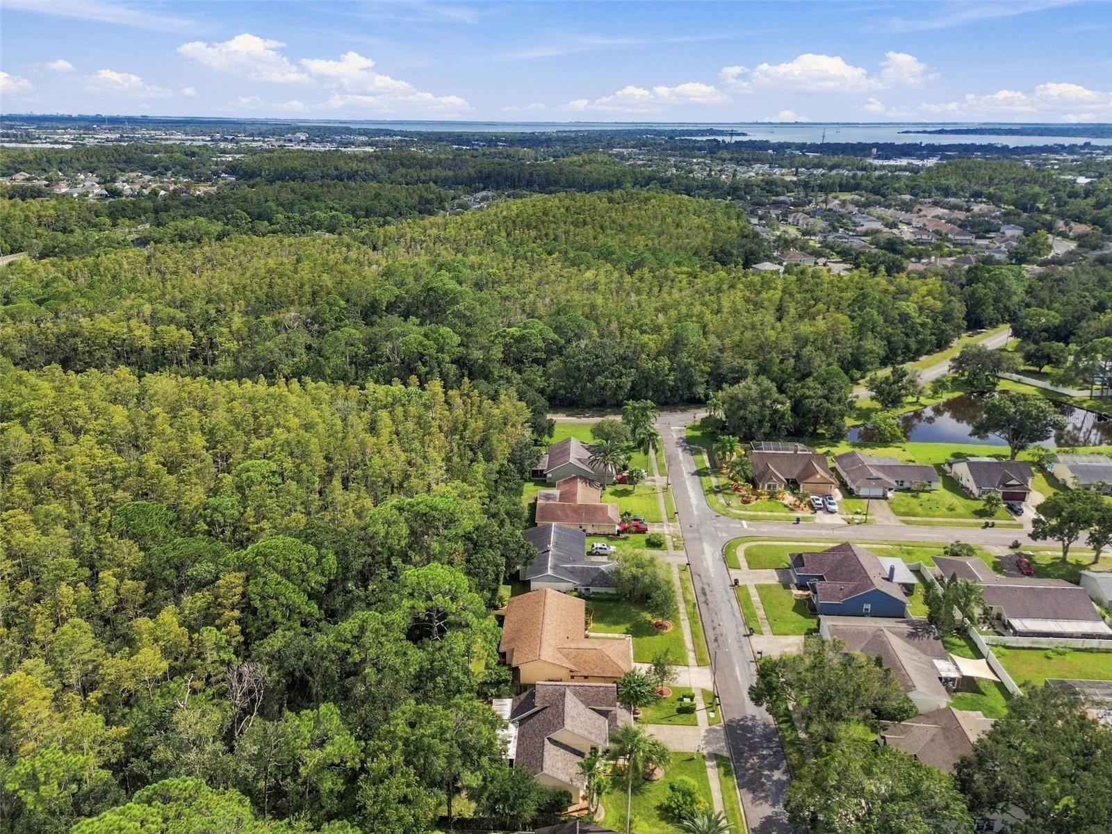 709 JACARANDA DR — photo 88