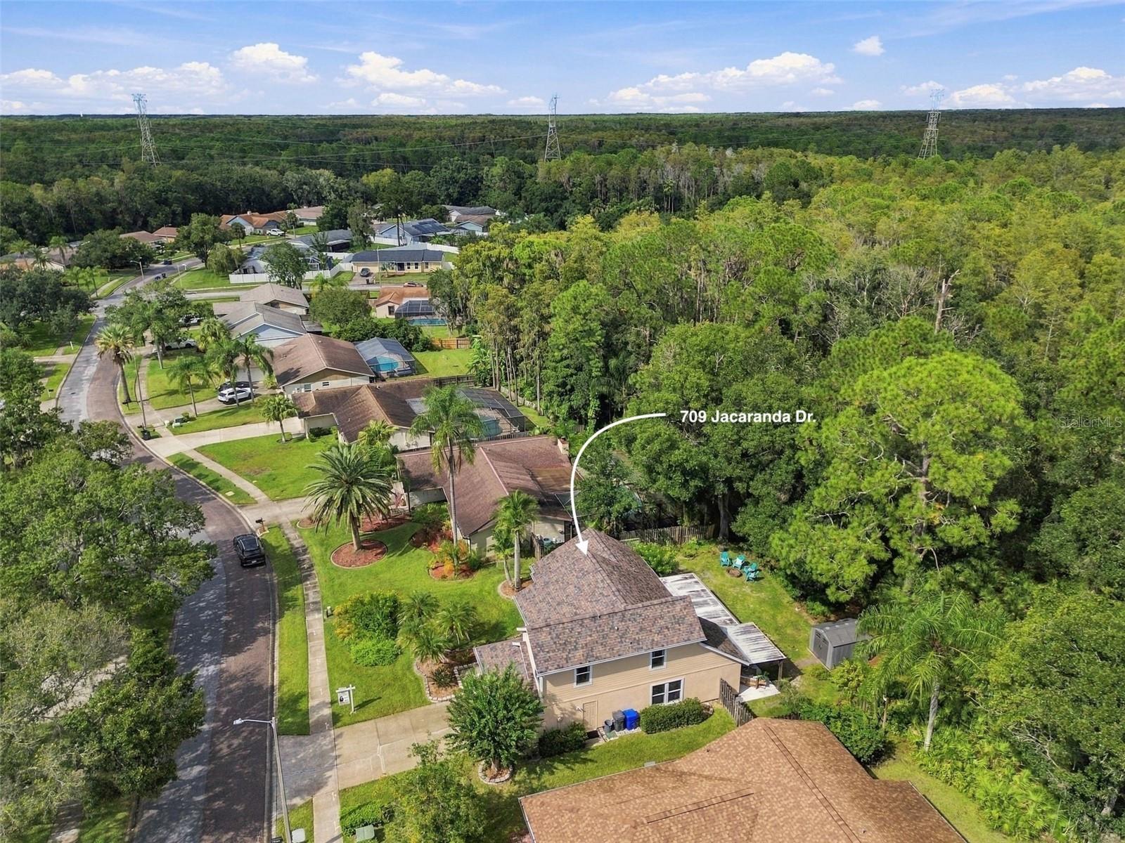 709 JACARANDA DR — photo 87