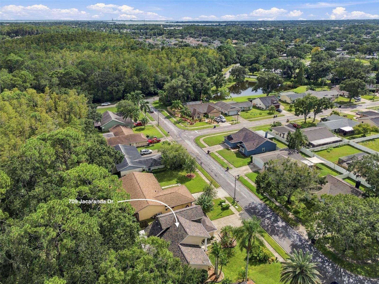 709 JACARANDA DR — photo 86