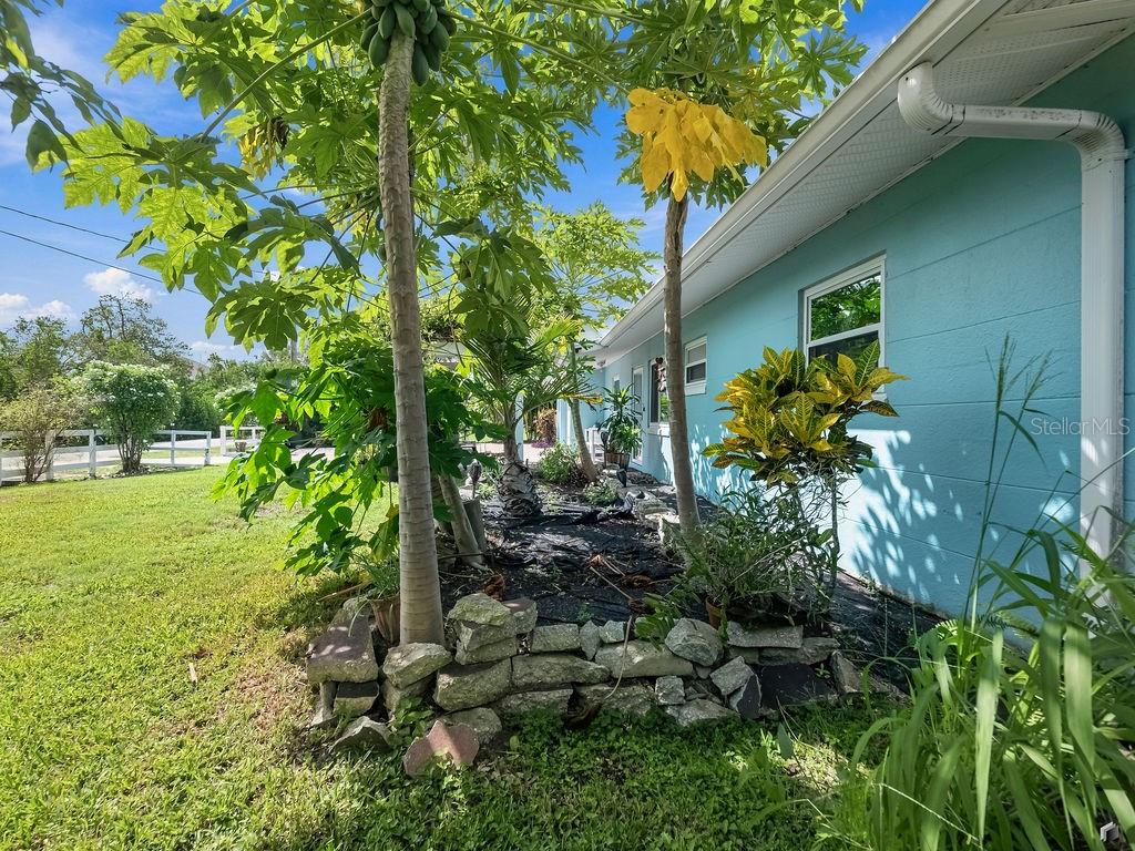 1831 BAYSHORE DR — photo 49