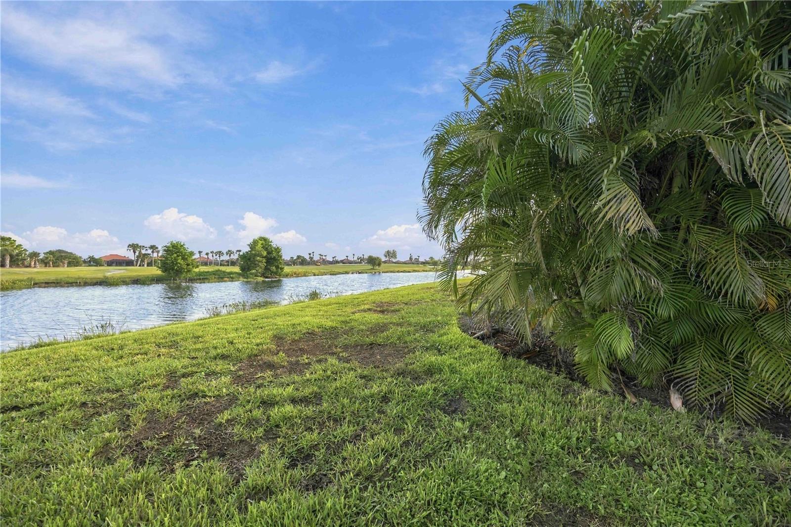 10720 TARFLOWER DR — photo 13